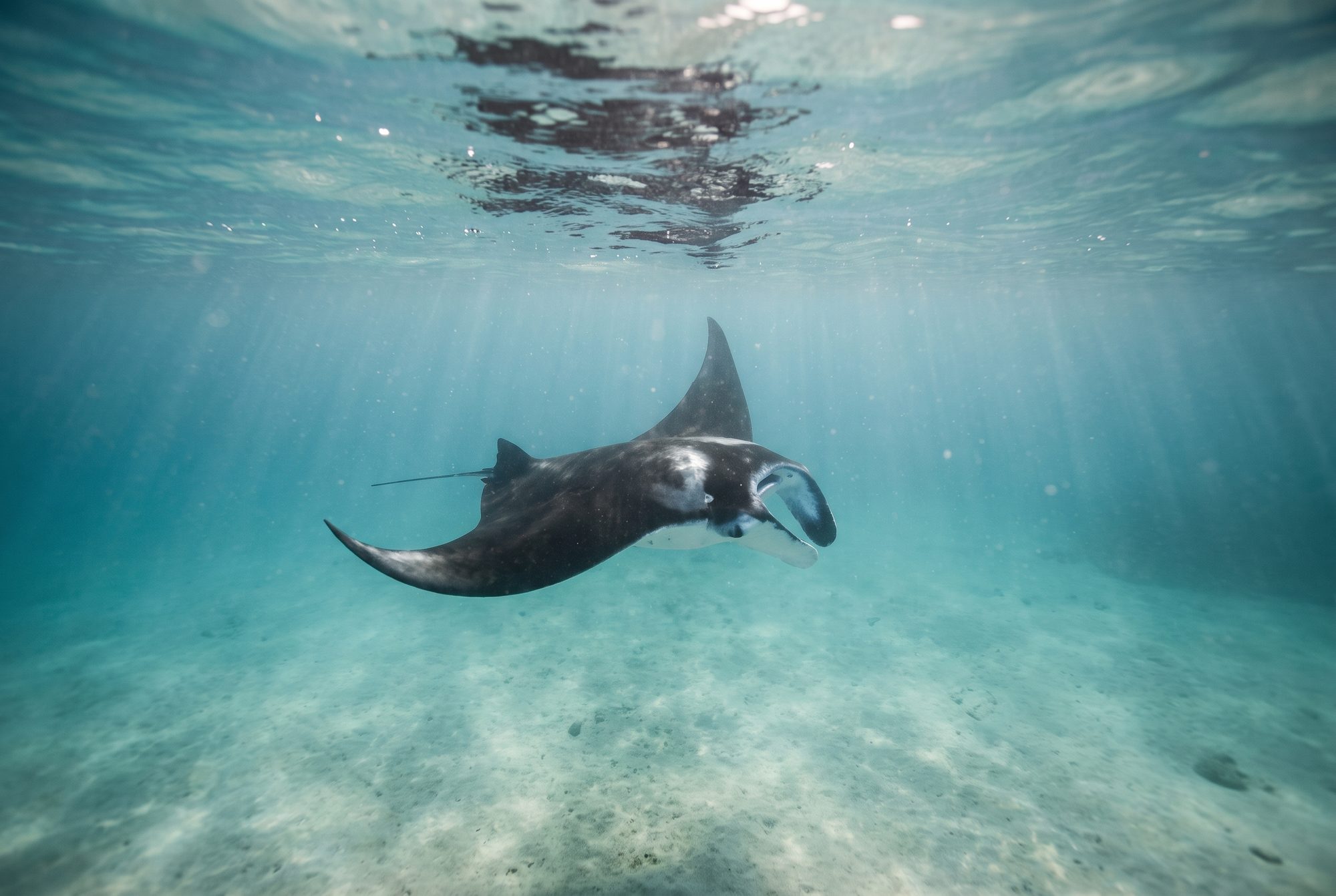 Clear water off Nusa Penida where the manta rays gather