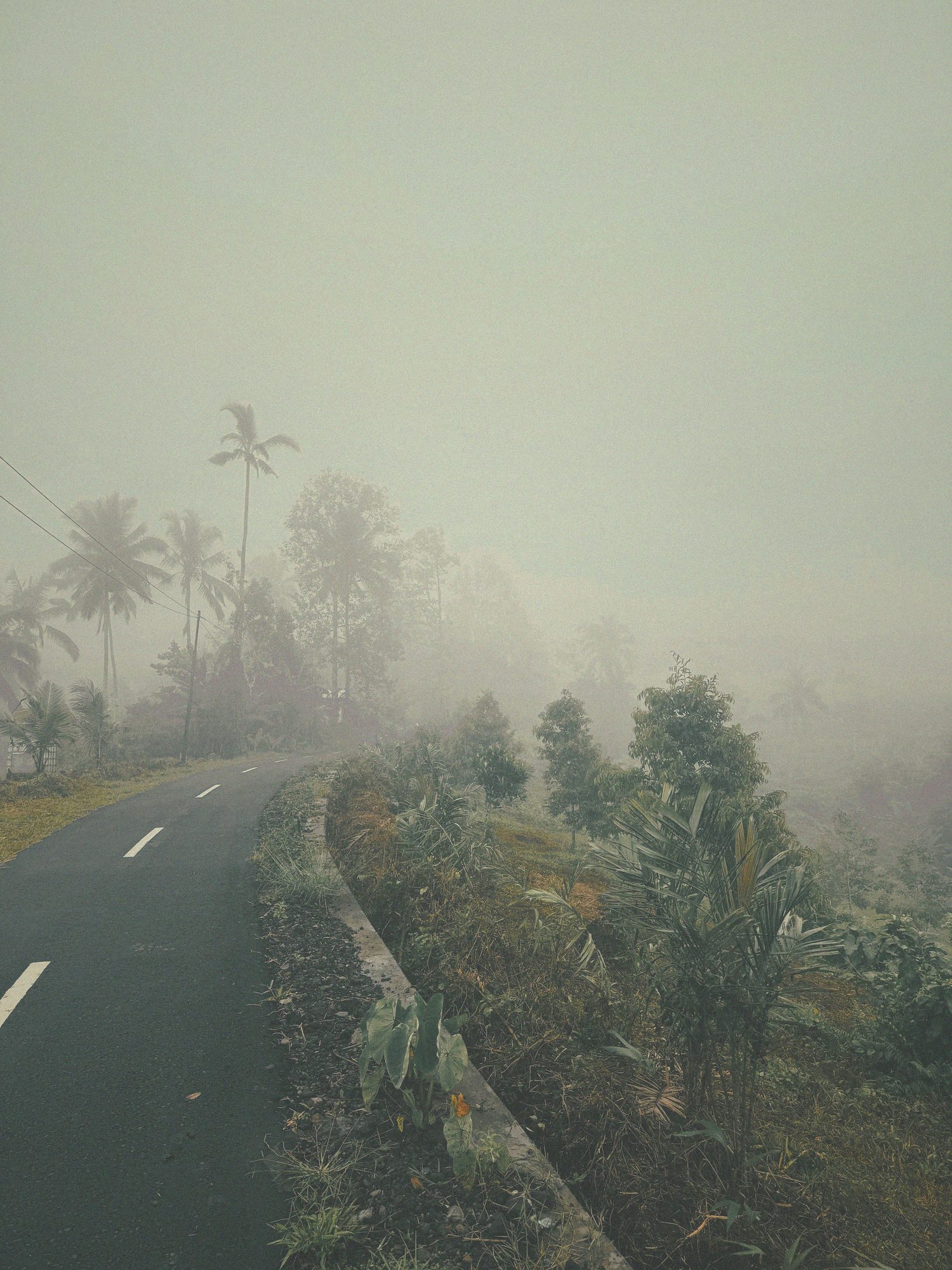 A quiet rural Bali road in morning mist