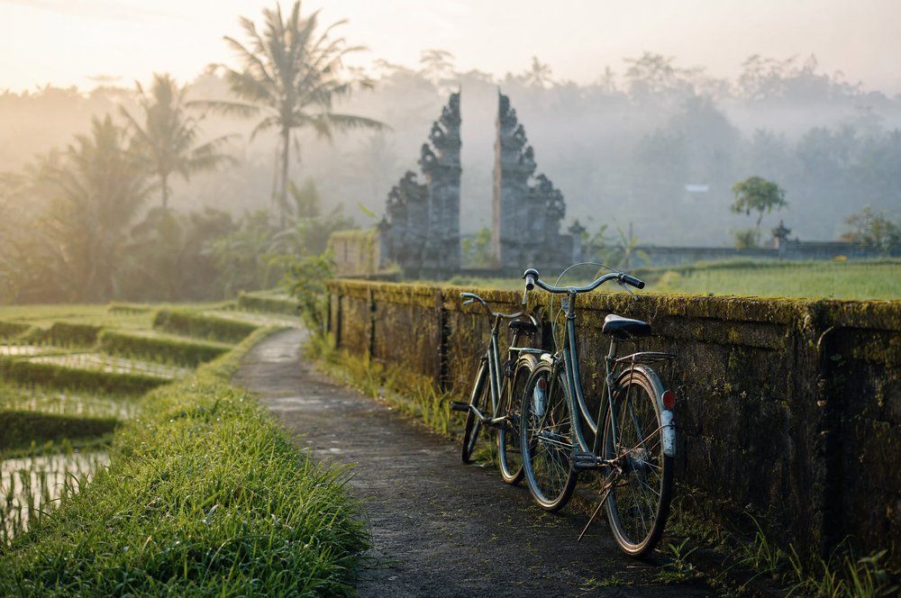 A quiet back road through the rice paddies for cycling