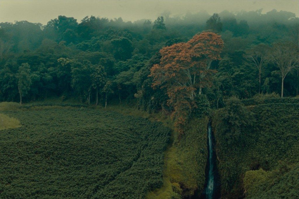 Cloud forest and a waterfall in the Munduk highlands