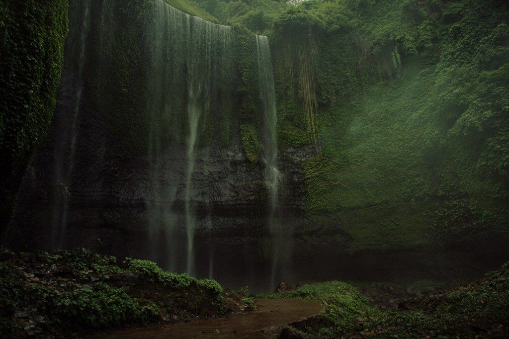 The Sekumpul waterfalls in a deep green gorge